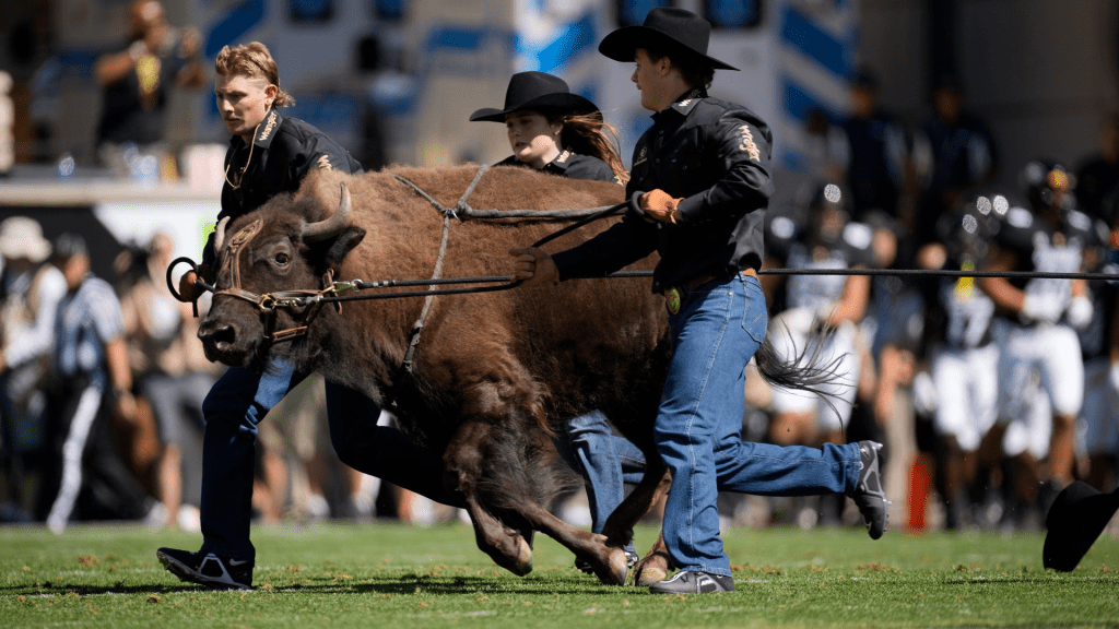 Ralphies Run Colorado Best Tradition in CFB