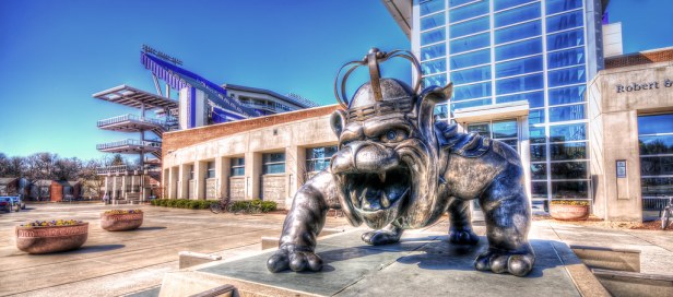 JMU Football Stadium Duke Dog