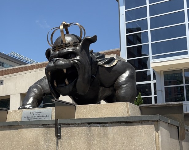 JMU Football Duke Dog Statue