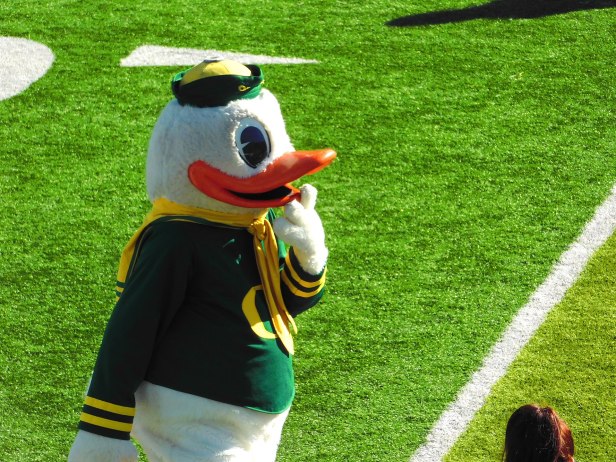 The Oregon Duck
